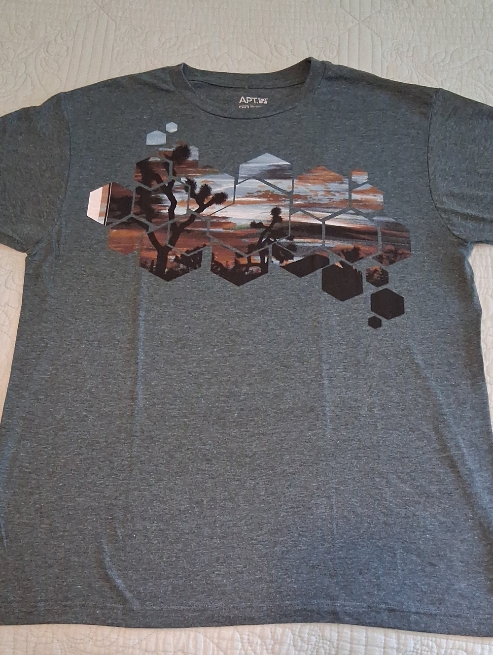 Apt. 9 Gray Short-Sleeve Tee with Desert Hexagon Graphic, NWOT